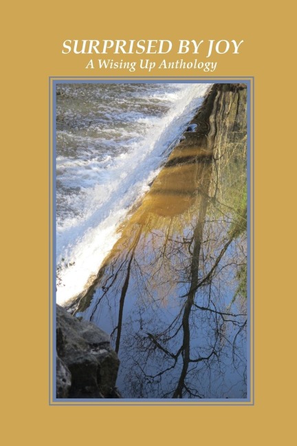 SURPRISED BY JOY: A Wising Up Anthology