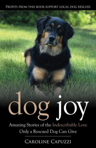Dog Joy Amazing Stories of the Indescribable Love Only a Rescued Dog Can Give