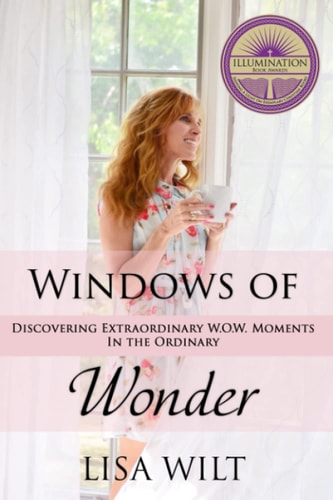 Windows of Wonder Discovering Extraordinary W.O.W. Moments in the Ordinary