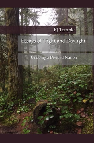 Essays of Night and Daylight Undoing a Divided Nation