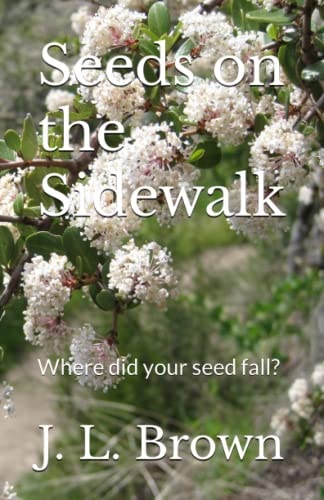 Seeds on the Sidewalk Where Did Your Seed Fall?