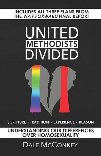United Methodists Divided Understanding Our Differences Over Homosexuality