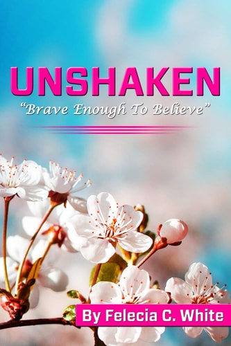 Unshaken Brave Enough to Believe