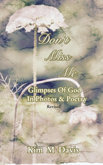 Dont Miss Me: Glimpses Of God In Photos & Poetry