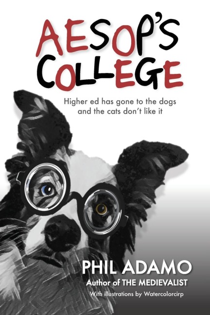 Aesops College