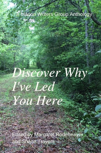Discover Why I've Led You Here A Macon Writers Group Anthology