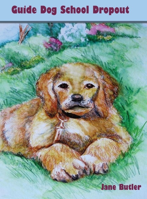 Guide Dog School Dropout