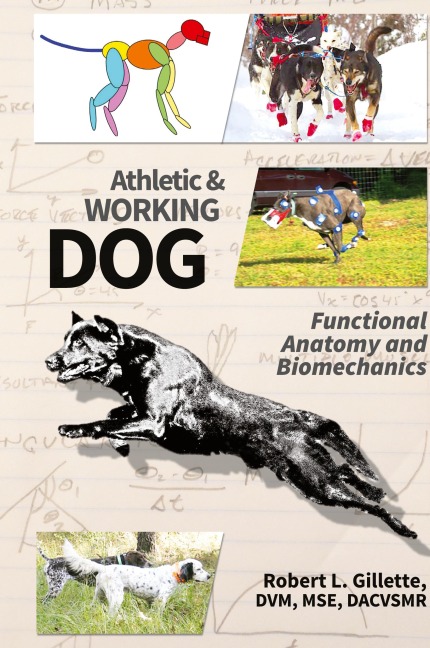 Athletic and Working Dog: Functional Anatomy and Biomechanics