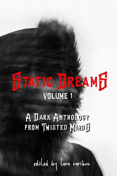 Static Dreams Volume 1: A Dark Anthology from Twisted Minds