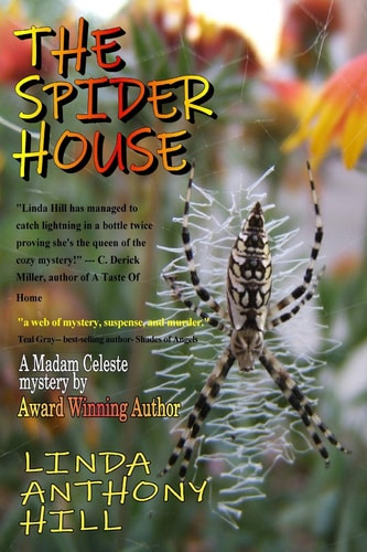 The Spider House A Madam Celeste Mystery