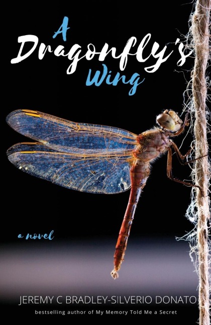 A Dragonflys Wing