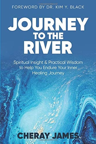 Journey to the River Spiritual Insight and Practical Wisdom to Help You Endure the Inner Healing Journey