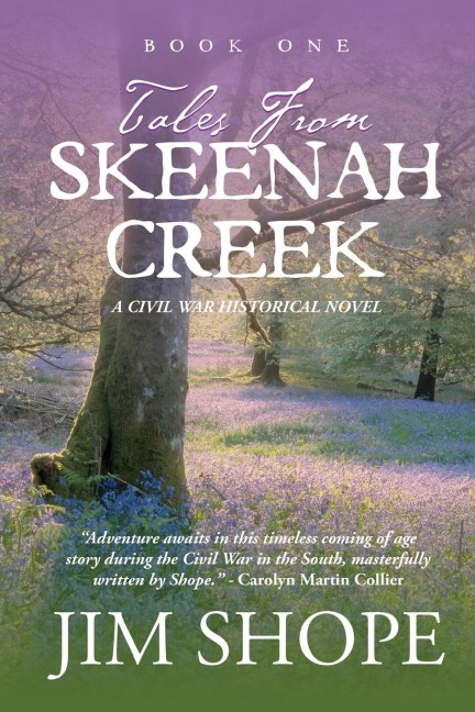 Tales From Skeenah Creek: A Civil War Historical Fiction Novel