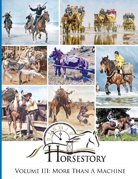 Horsestory Volume III: More Than A Machine