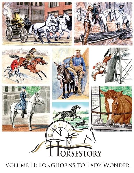 Horsestory Volume II: Longhorns to Lady Wonder