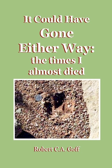 It Could Have Gone Either Way: the times I Almost Died