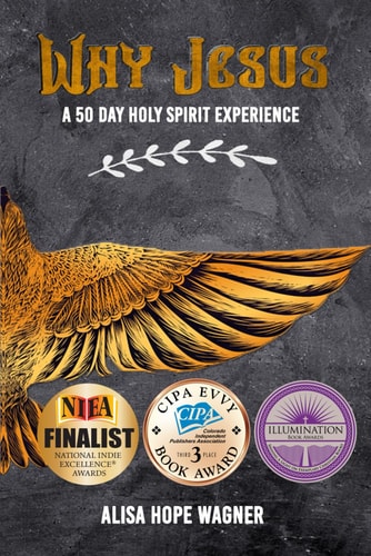 Why Jesus A 50 Day Holy Spirit Experience