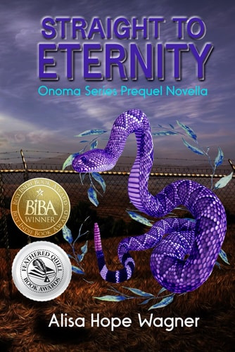 Straight to Eternity The Onoma Series Prequel Novella