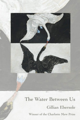 The Water Between Us
