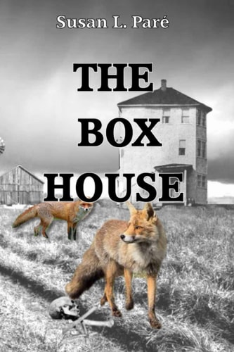 The Box House