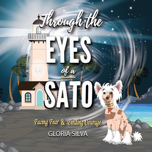 Through the Eyes of a Sato Facing Fear & Finding Courage