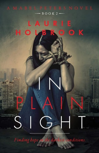 In Plain Sight Mabel Peters Book 2