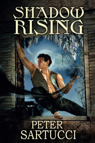 Shadow Rising Sequel to 'Shadow and Light'