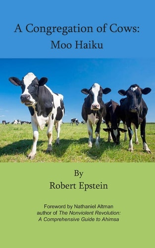 A Congregation of Cows Moo Haiku
