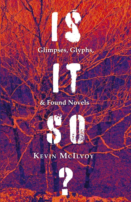 Is It So? Glimpses, Glyphs, & Found Novels