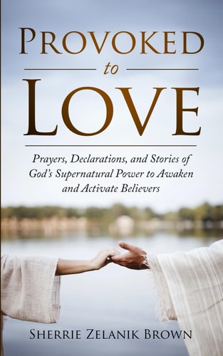 Provoked to Love Prayers, Declarations, and Stories of God's Supernatural Power to Awaken and Activate Believers