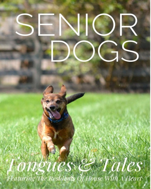 Senior Dogs: Tongues and Tales: Featuring The Residents Of House With A Heart