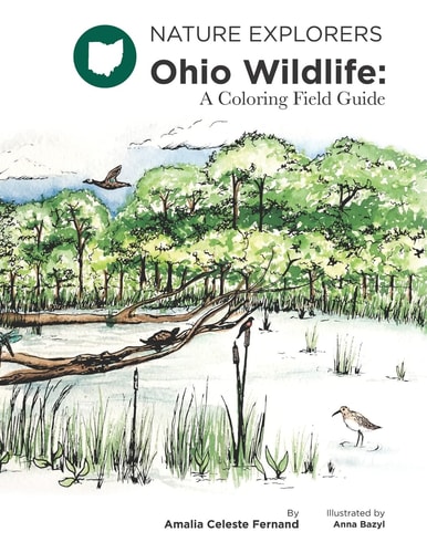 Ohio Wildlife A Coloring Field Guide