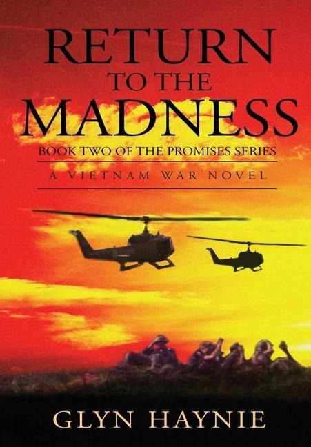Return To The Madness: A Vietnam War Novel