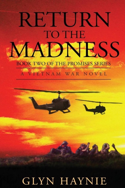Return To The Madness: A Vietnam War Novel