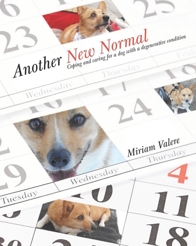 Another New Normal Coping and Caring for a Dog with a Degenerative Condition