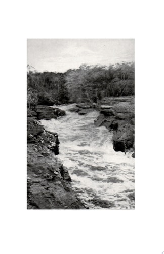 RIVER OF DOUBT
