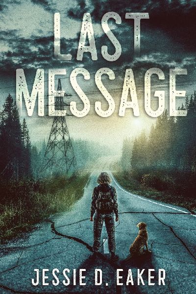 Last Message: A Post-Apocalyptic Survival Romance