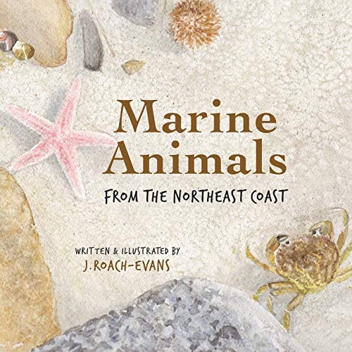 Marine Animals From the Northeast Coast