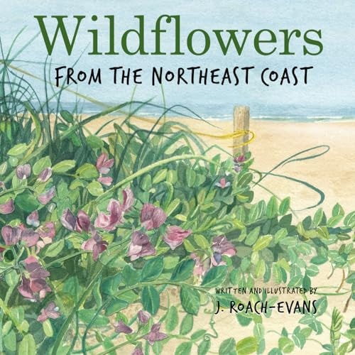Wildflowers From the Northeast Coast