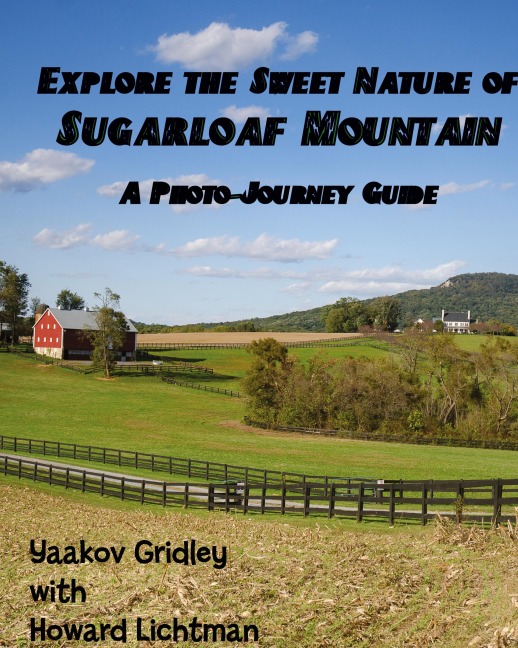 Explore the Sweet Nature of Sugarloaf Mountain: A Photo-Journey Guide