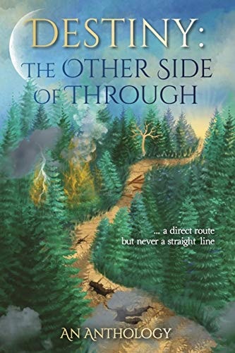 Destiny The Other Side of Through
