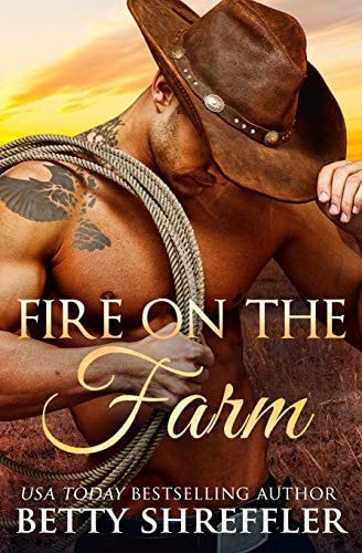 Fire On The Farm Second Chance Cowboy Romance