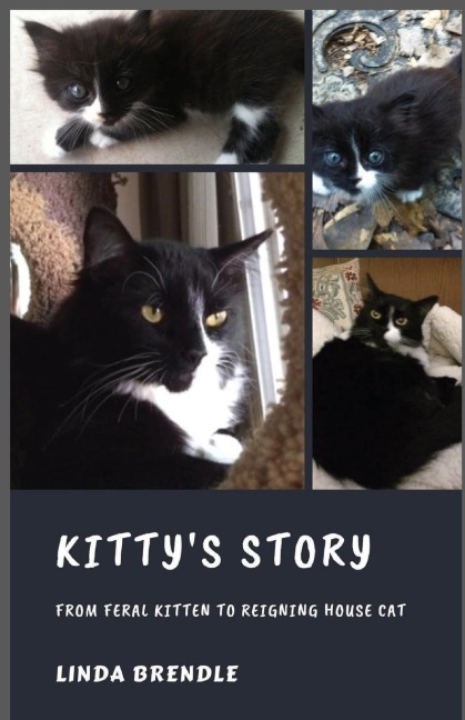 KITTYS STORY: FROM FERAL KITTEN TO REIGNING HOUSECAT