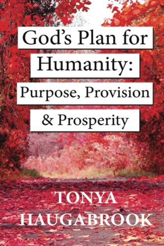 God's Plan for Humanity Purpose, Provision, and Prosperity