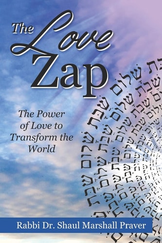 The Love Zap Harnessing the Power of Love to Transform the World