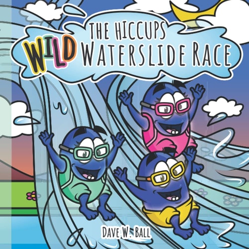 Wild Waterslide Race