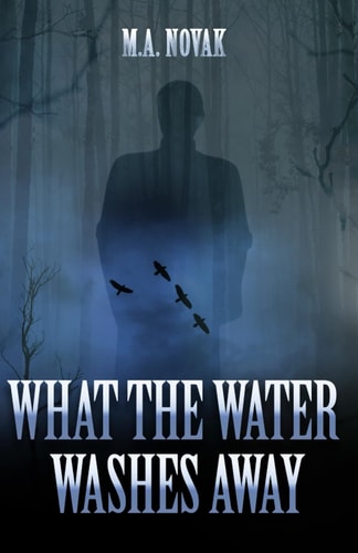 What the Water Washes Away A Lakefront Thriller