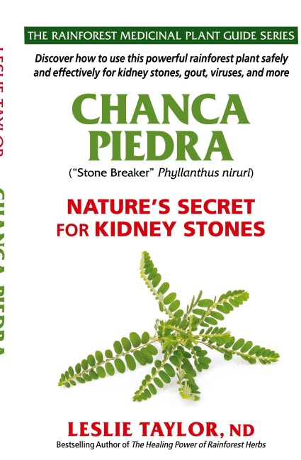 Chanca Piedra: Natures Secret for Kidney Stones