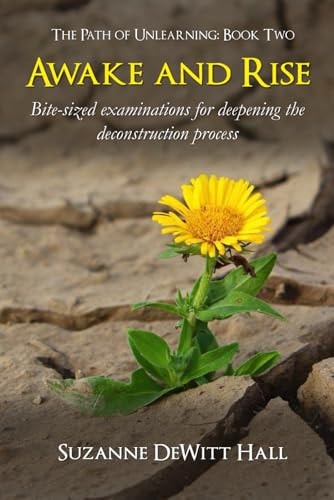 Awake and Rise Bite-sized Examinations for Deepening the Deconstruction Process