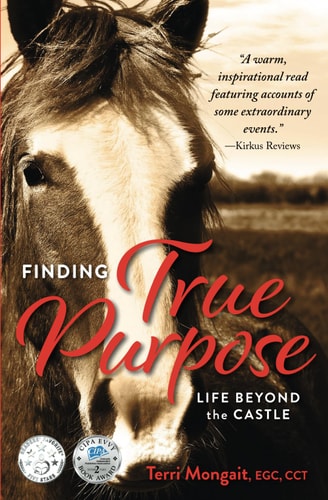 Finding True Purpose Life Beyond The Castle